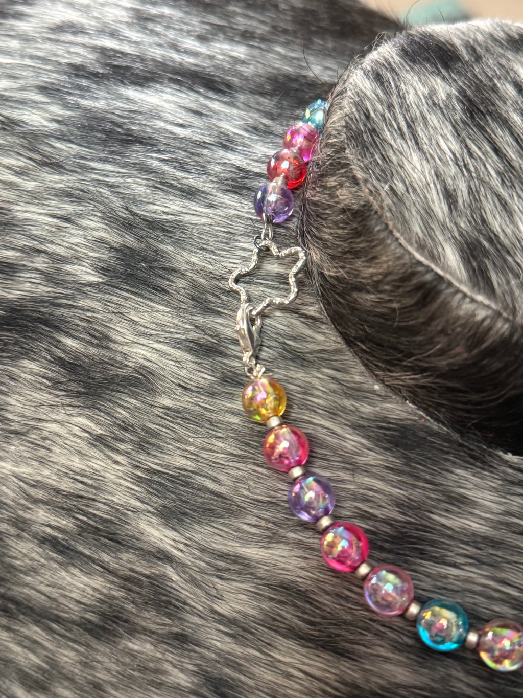 Rainbow Ranch necklace