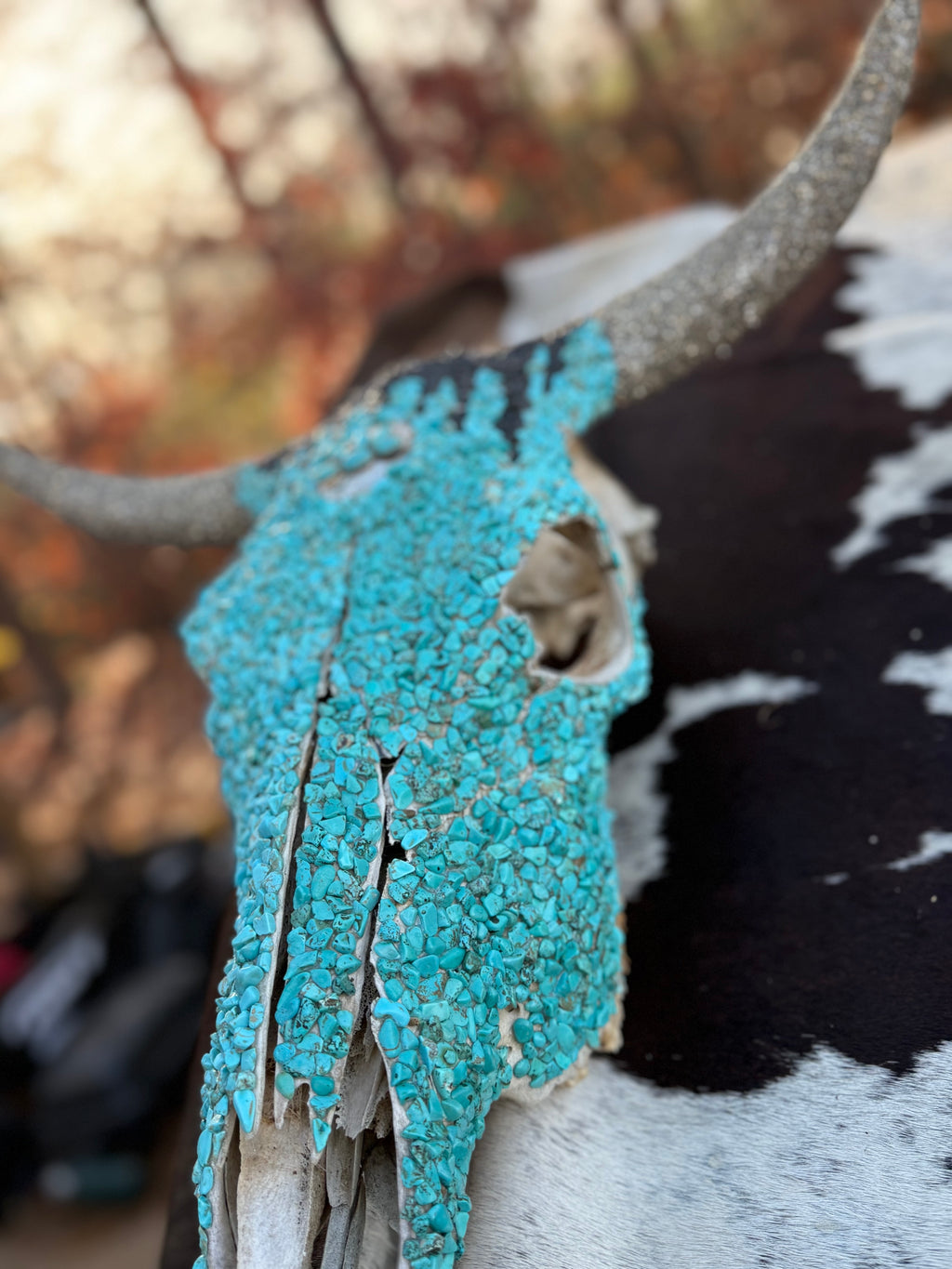Turquoise custom Bull head
