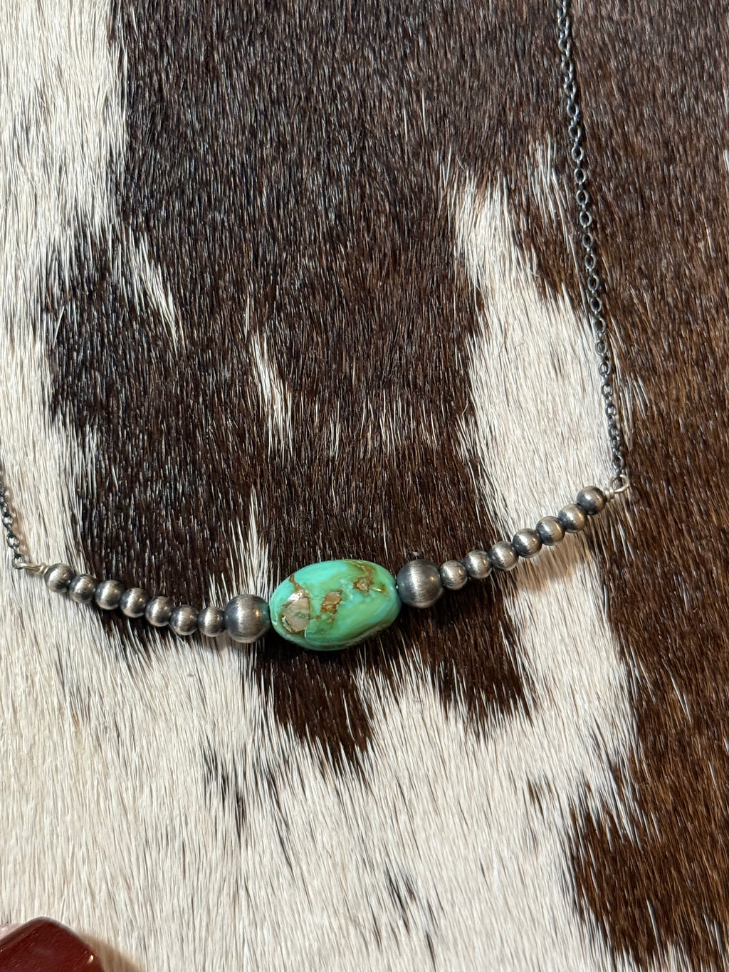 Sonoran mountain necklace